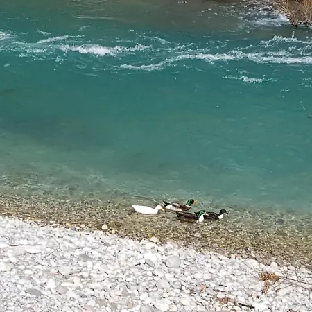 Bungalov Camp Borasnica Camping Jezero (Konjic)