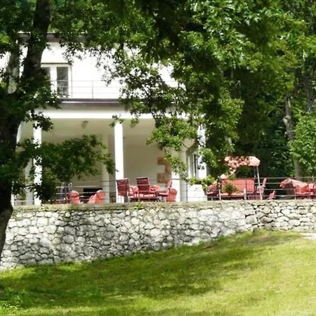 Bungalov Camp Borasnica