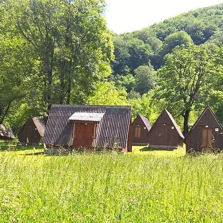 Bungalov Camp Borasnica *