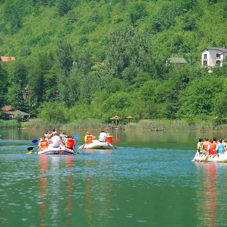 Bungalov Camp Borasnica