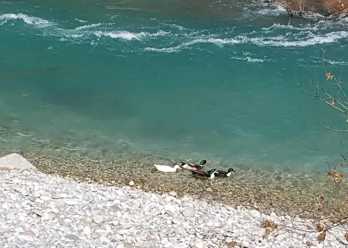 Bungalov Camp Borasnica 营地 Jezero (Konjic)