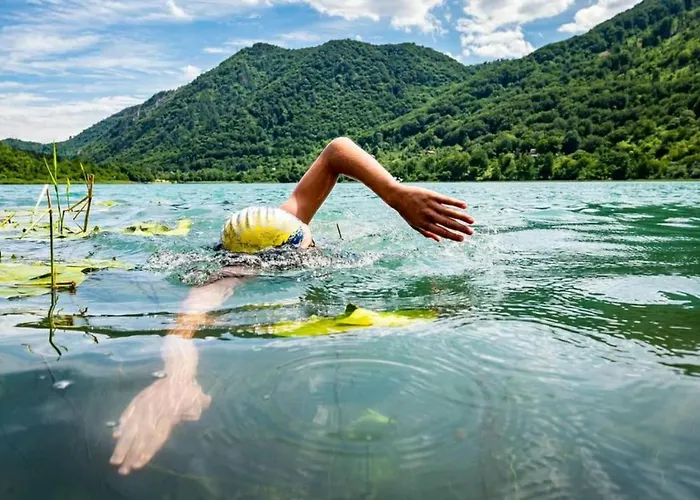 Bungalov Camp Borasnica 营地