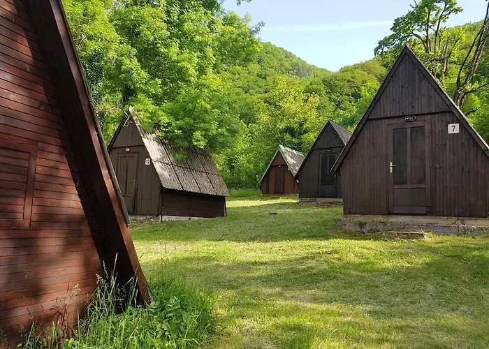 Bungalov Camp Borasnica 营地 *