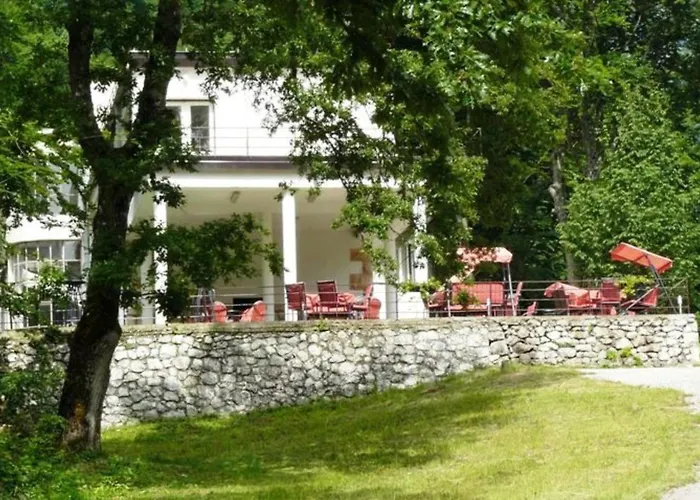 Bungalov Camp Borasnica