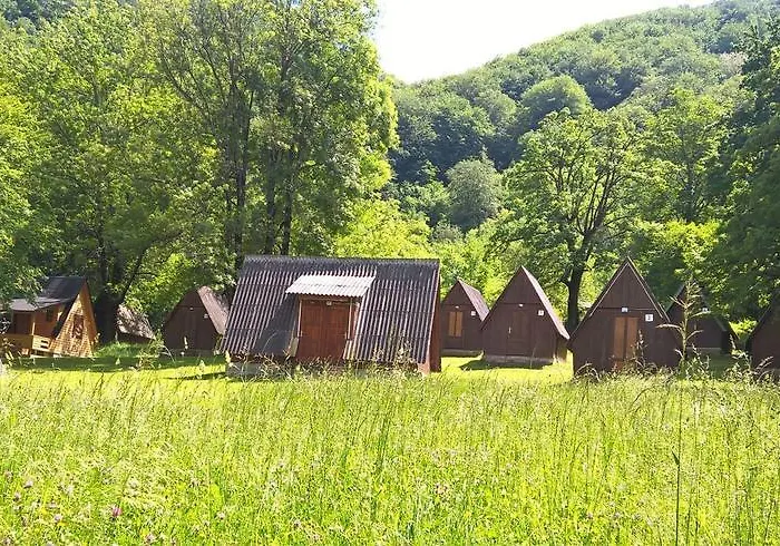 Bungalov Camp Borasnica *