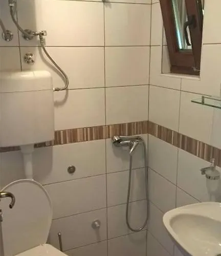 Bungalov Camp Borasnica 营地 *