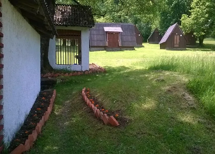 Bungalov Camp Borasnica 营地 *